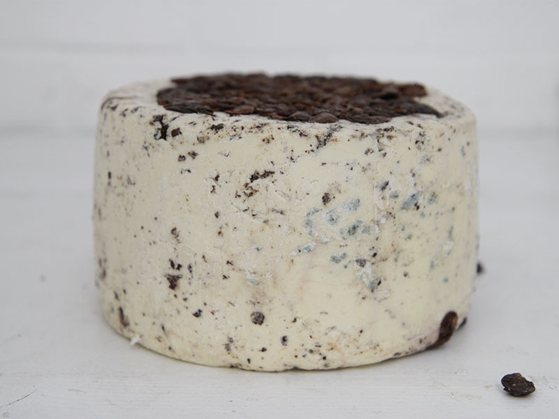 Blu in Vinaccia