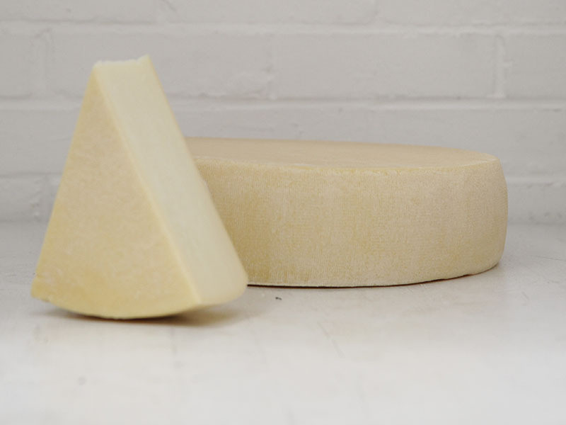 Fontina