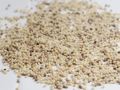 Fregola Sarda